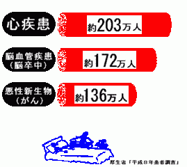 쓇C