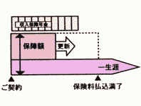 얢