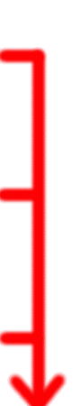 相武紗季