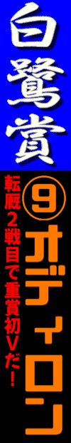 n\z