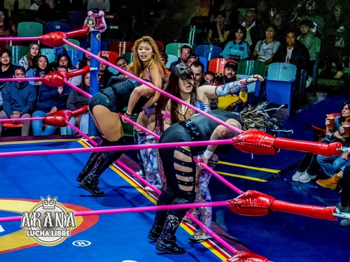 CMLLレディースリング