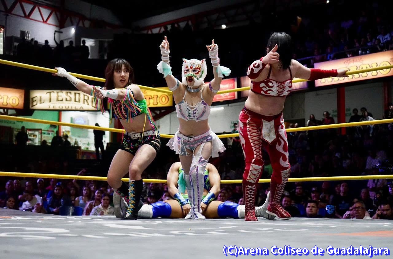 �b�l�k�k���f�B�[�X�����O