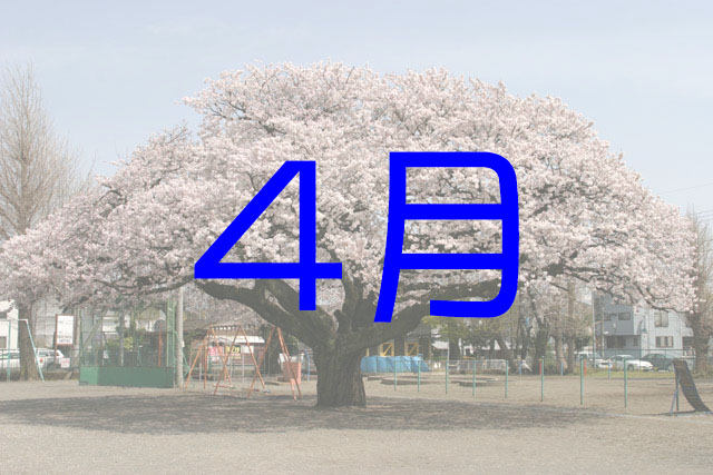 シダレモモ