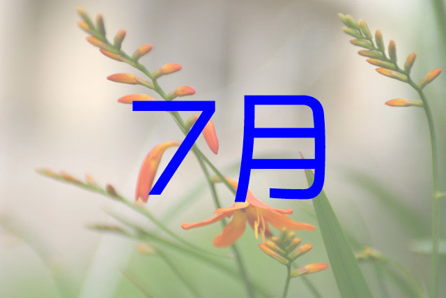 シダレモモ