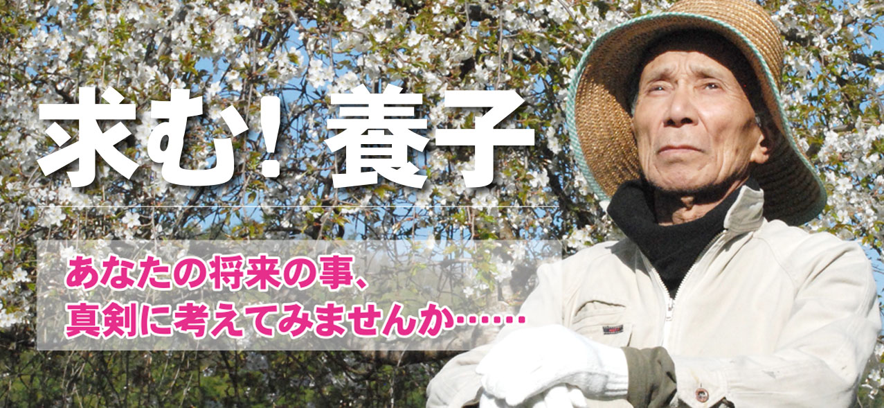 求む！養子縁組