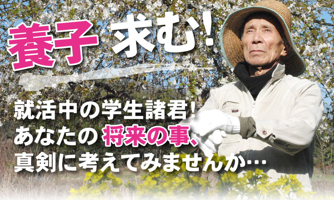 養子求む！就活中の学生諸君！あなたのこれからの将来の事、人生設計。真剣に考えてみませんか・・・